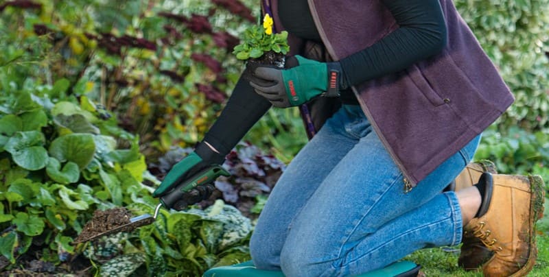 Sonbaharda Ekilebilecek Bitkiler