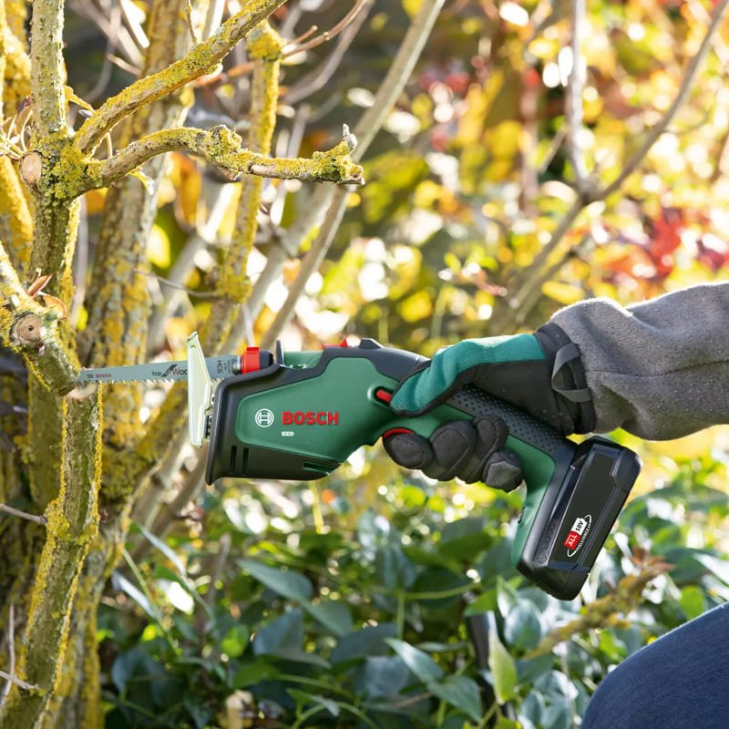 Budama Sanatı: Bitkilere Şekil Verin