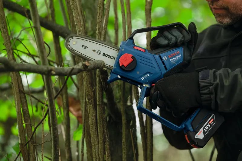 Renklerin Dönüşümü: Doğadan İlham Alın