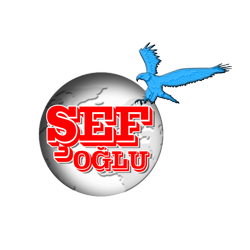 Şefoğlu