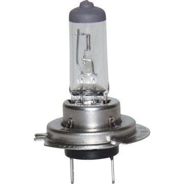 Brio Ampul Halojen H7 12V 55W 64210