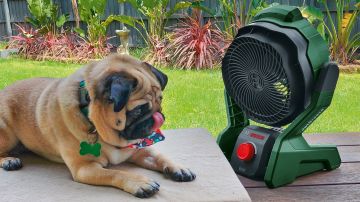 Bosch Akülü Fan UniversalFan 18V-1000 (Aküsüz) - 06039E1000