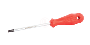 İzeltaş Delikli Torx Uçlu Tornavida TR09 4x60 mm