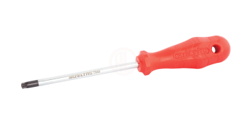İzeltaş Delikli Torx Uçlu Tornavida TR10 4x80 mm