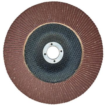 Nikon Flap Disk 180 Mm 80 Kum - NIK33075