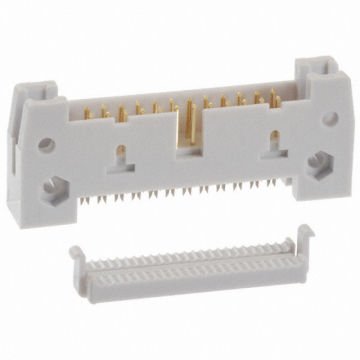 Assmann Pcb Konnektör, 10 Pin Erkek, Altın Kaplama, Uzun Kilitli