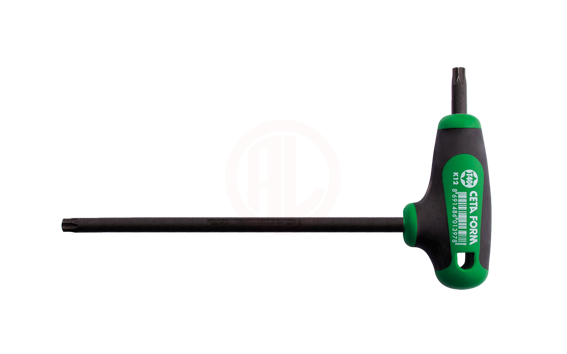 Ceta Form T Saplı Torx Anahtar T40