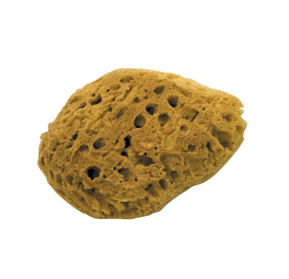 Dekor Rulo 1475 Doğal Deniz Süngeri 21 Cm