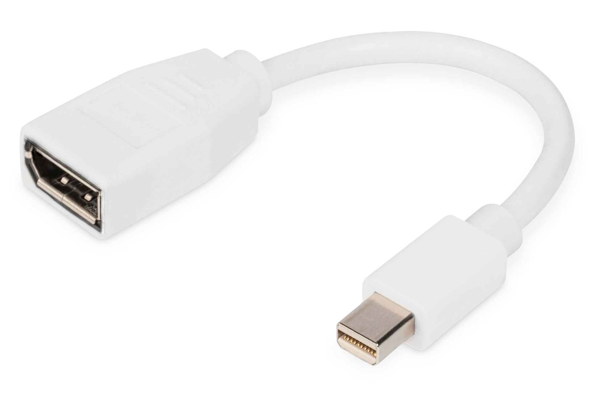 Assmann Digitus Displayport Adaptörü, Mini Dp Erkek Dp Dişi, 0.15 Mt , Dp 1.2 Uyumlu