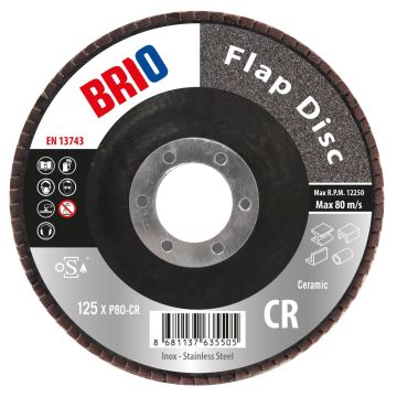 Brio Flap Disk 125XP80 Cr