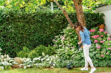 Bosch Easygrasscut 23 Kenar Kesme Makinası - 06008C1H00