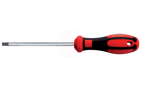 Ceta Form C-Plus Delikli Torx Uçlu Tornavida T10 X 80 Mm