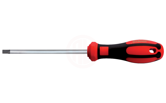 Ceta Form C-Plus Delikli Torx Uçlu Tornavida T20 X 100 Mm