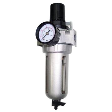 Gison Gp-815Hab Filtre Regülatör - GP815HAB