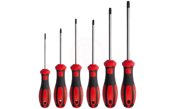 Ceta Form 6 Parça C-Plus Tornavida Takımı Torx