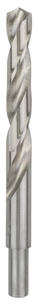 Bosch Metal Matkap Ucu HSS-G DIN 338 (Gümüş) 15,0x169 mm (4 Adet) - 2608585594