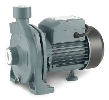 Rainpump Cpm158 Santrifuj Pompa 0.75Kw