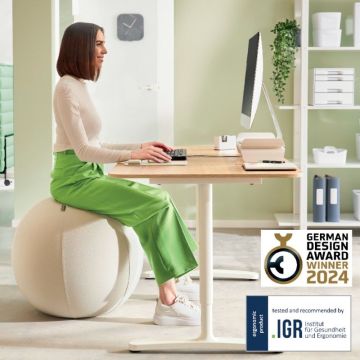 Leitz Active Oturma Topu, Durdurma Fonksiyonlu, Sabit Taban, 65410085, Açık Gri, 55Cm