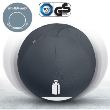Leitz Active Oturma Topu, Durdurma Fonksiyonlu , Sabit Taban, 65Cm, Gri, 65420089
