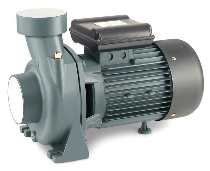 Rainpump Shfm6Cr Santrifuj Pompa 1.1 Kw
