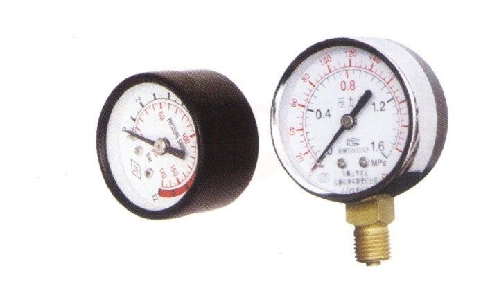 Rainpump Tps-S Manometre 50 Mm 1/4”